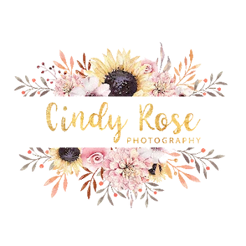 Cindy Rose Photography