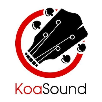 KoaSound Acoustic Duo / Trio