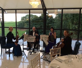 'The Exe Valley String' Playing Classical Favourites to Rock & Pop